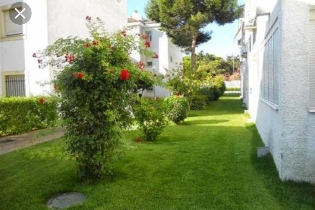 Acogedor Apartamento A 100 M. De Pinares Y Playa Apartment Rota Ngoại thất bức ảnh