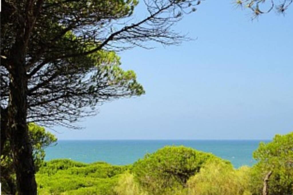 Acogedor Apartamento A 100 M. De Pinares Y Playa Apartment Rota Ngoại thất bức ảnh
